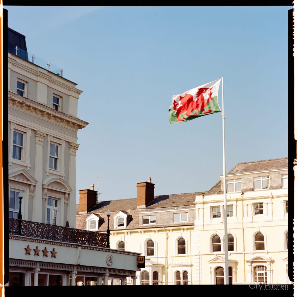 Image #1 from Olly Hitchen