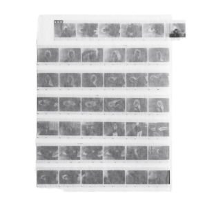 Negative Sleeves for 35mm